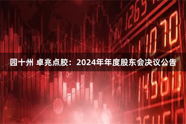 园十州 卓兆点胶：2024年年度股东会决议公告