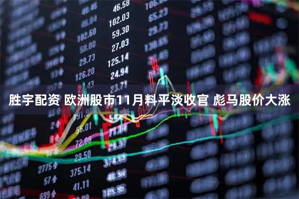 胜宇配资 欧洲股市11月料平淡收官 彪马股价大涨