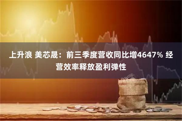 上升浪 美芯晟：前三季度营收同比增4647% 经营效率释放盈利弹性